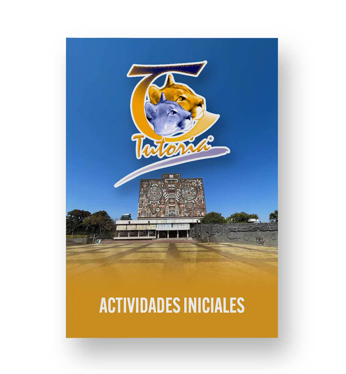 actividades